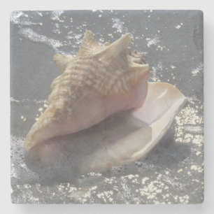 Doorzoeken op strand Sanibel Island, Florida Stenen Onderzetter