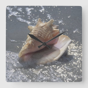 Doorzoeken op strand   Sanibel Island, Florida Vierkante Klok