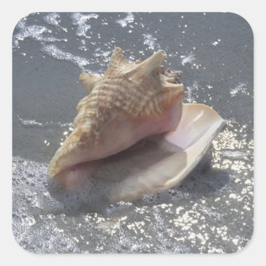 Doorzoeken op strand | Sanibel Island, Florida Vierkante Sticker (Voorkant)