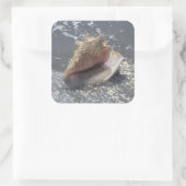 Doorzoeken op strand | Sanibel Island, Florida Vierkante Sticker (Tas)