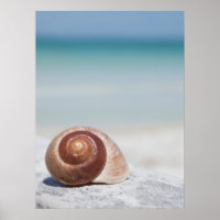 Doorzoeken op strand | Sint-Petersburg, Fl