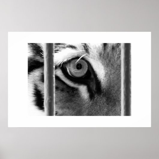 doorzoeken poster (Voorkant)