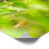 Doos Afdrukken Poster (Hoek)