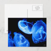 Doos Briefkaart (Voorkant / Achterkant)