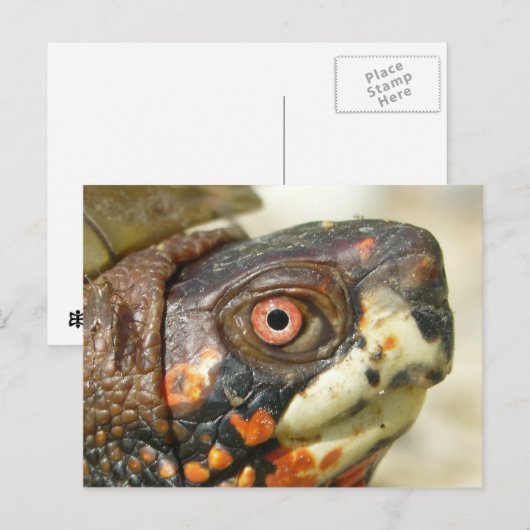 Doos briefkaart. briefkaart (Voorkant / Achterkant)