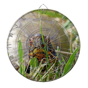 Doos Dartbord