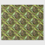 Doos met schildpad cadeaupapier (Vlak)