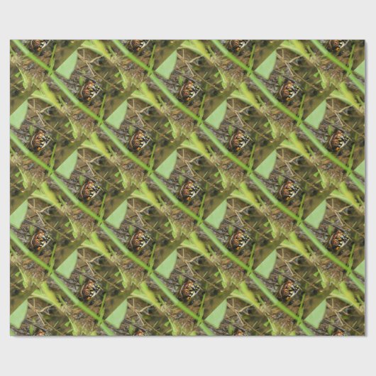 Doos met schildpad cadeaupapier (Vlak)