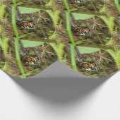 Doos met schildpad cadeaupapier (Hoek)