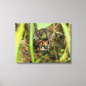 Doos met schildpad canvas afdruk (Voorkant)