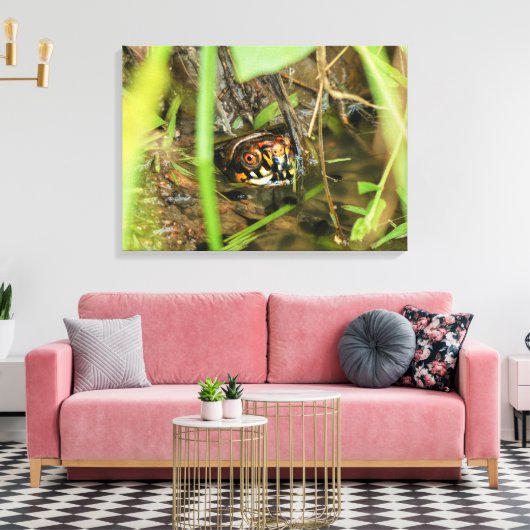 Doos met schildpad canvas afdruk (Insitu (Woonkamer))