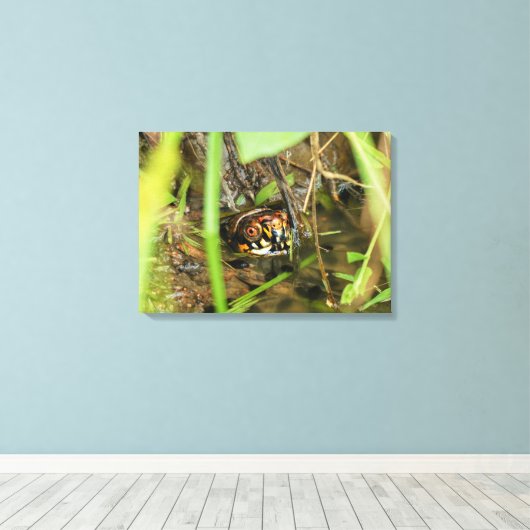 Doos met schildpad canvas afdruk (Insitu (Houten vloer))