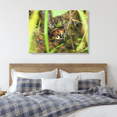 Doos met schildpad canvas afdruk (Insitu (Slaapkamer))