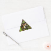 Doos met schildpad sticker (Envelop)