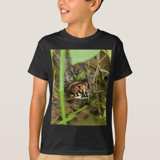 Doos met schildpad t-shirt (Voorkant)