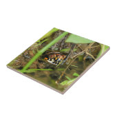 Doos met schildpad tegeltje (Zijkant)