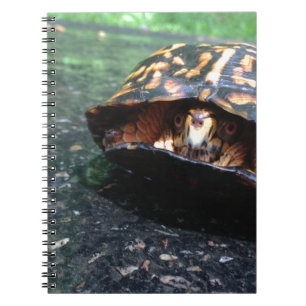 Doos Notitieboek