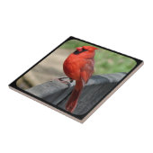 DOOS OP FENCE-2 TEGELTJE (Zijkant)