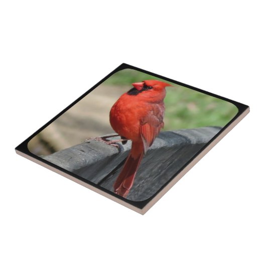 DOOS OP FENCE-2 TEGELTJE (Zijkant)