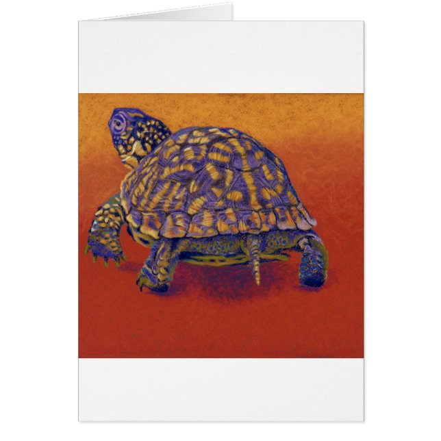 Doos, schildpad (Voorkant)