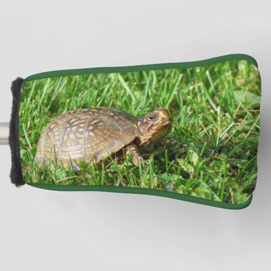 Doos Schildpad Golfheadcover (Voorkant)