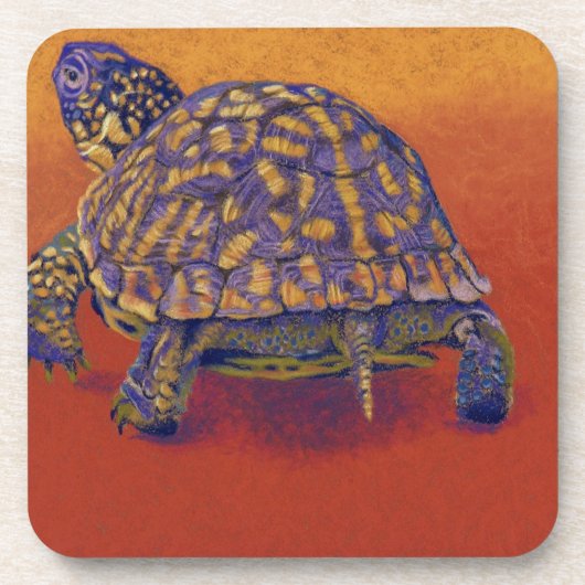 Doos, schildpad onderzetter (Voorkant)