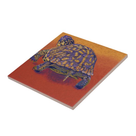 Doos, schildpad tegeltje (Zijkant)