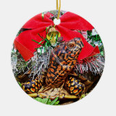 Doos Turtle Christmas Ornament (Voorkant)