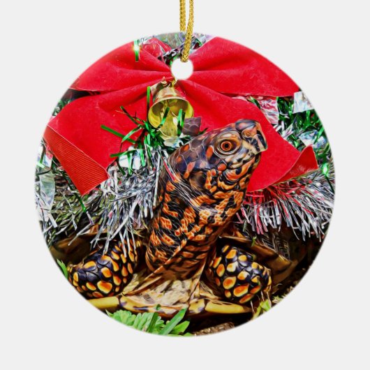 Doos Turtle Christmas Ornament (Voorkant)