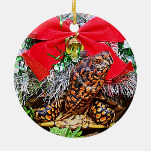 Doos Turtle Christmas Ornament (Achterkant)