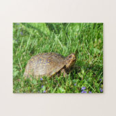 Doos Turtle Jigzaag Puzzle Legpuzzel (Horizontaal)