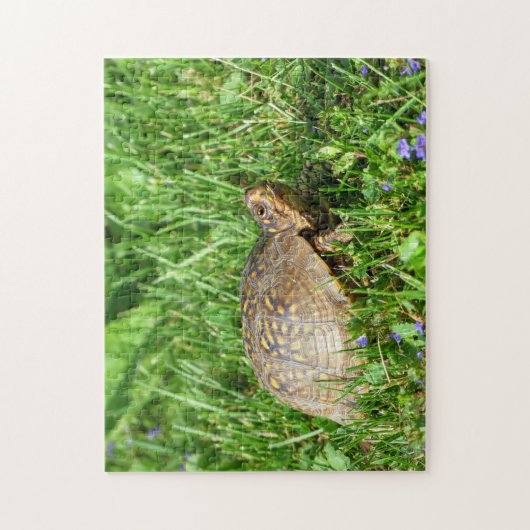 Doos Turtle Jigzaag Puzzle Legpuzzel (Verticaal)