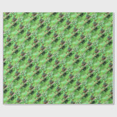 Doos Turtle Wrapping Papier (Vlak)