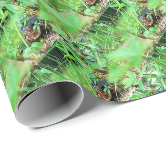 Doos Turtle Wrapping Papier (Rol Hoek)