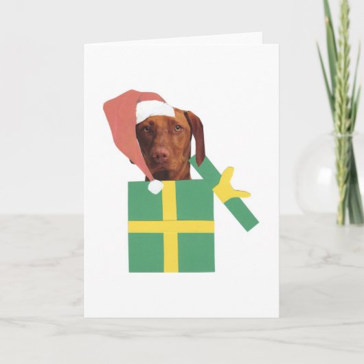 Doos van de Gift van Vizsla de Groene Feestdagen Kaart (Voorkant)