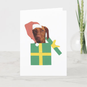 Doos van de Gift van Vizsla de Groene Feestdagen Kaart