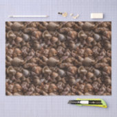 Doos van zeeschelpen die Patroon herhalen Tissuepapier (Craft)