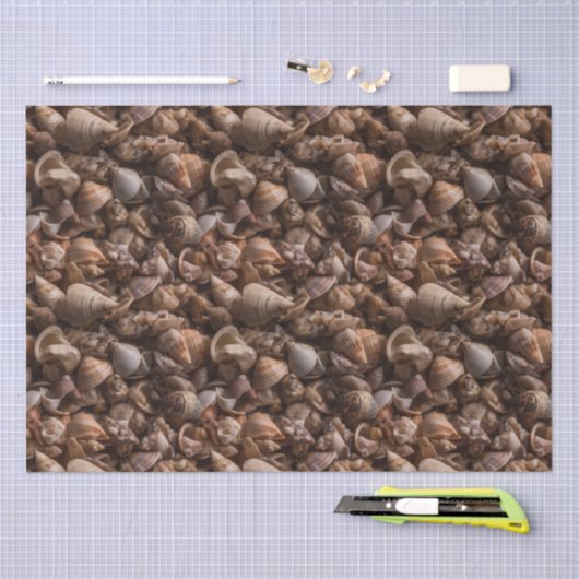 Doos van zeeschelpen die Patroon herhalen Tissuepapier (Craft)