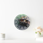 Dooschildpad Ronde Klok (Huis)