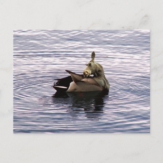Doose briefkaart (Voorkant)