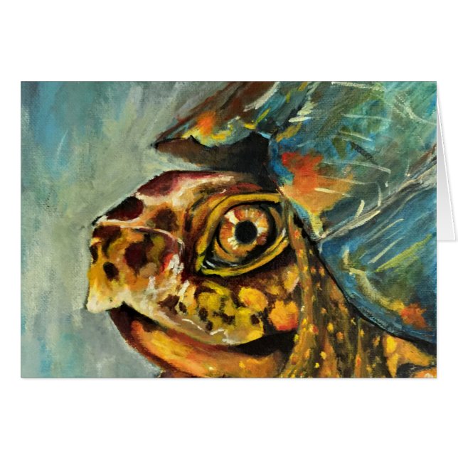 doosschildpad (Voorkant Horizontaal)