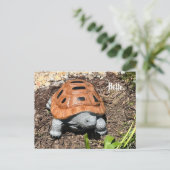 Doosschildpad, Hallo of uw tekst, Aangepaste ansic Briefkaart (Staand voorkant)