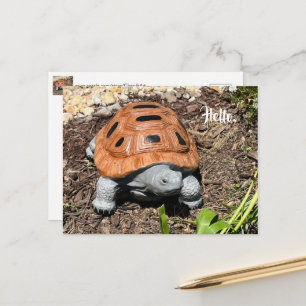 Doosschildpad, Hallo of uw tekst, Aangepaste ansic Briefkaart
