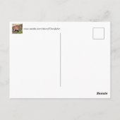 Doosschildpad, Hallo of uw tekst, Aangepaste ansic Briefkaart (Achterkant)