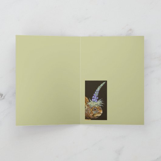 doosschildpad kaart (Binnen)