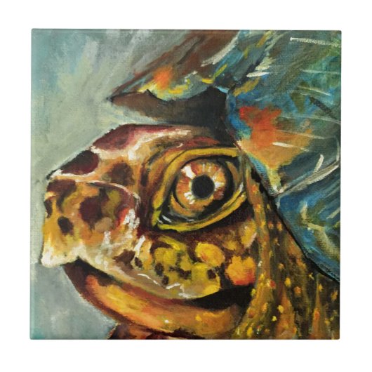 doosschildpad tegeltje (Voorkant)