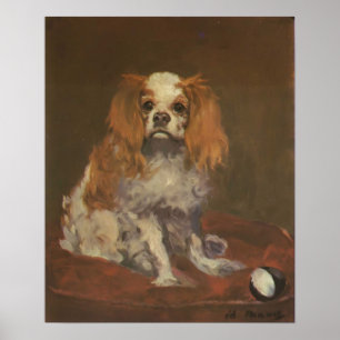  Dop print "A King Charles Spaniel"