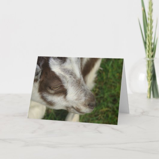 Dopey Kaart (Voorkant)