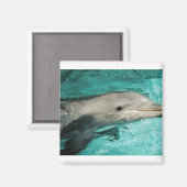 Dophin Blue Zee Oceaan Magneet (Voorkant / Achterkant)