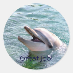 Dophin School Multomap Teacher Reward Sticker